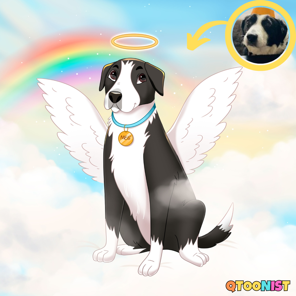 Pet Memorial Keepsakes